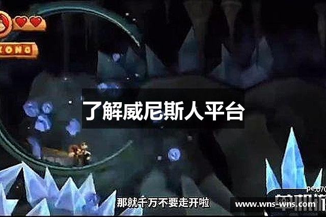 了解威尼斯人平台